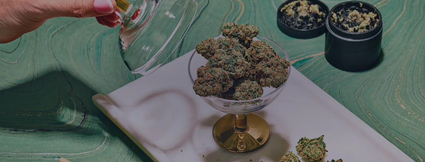 Opening Minds Near You